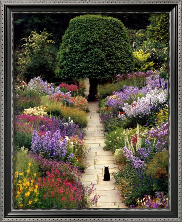 The Garden Cat by Greg Gawlowski Pricing Limited Edition Print image