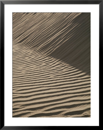 Wind-Rippled Sand Dunes by Marc Moritsch Pricing Limited Edition Print image