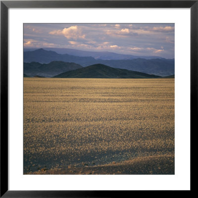 View Of The Beginning Of The Altai Range From The Gobi Desert by David Pluth Pricing Limited Edition Print image