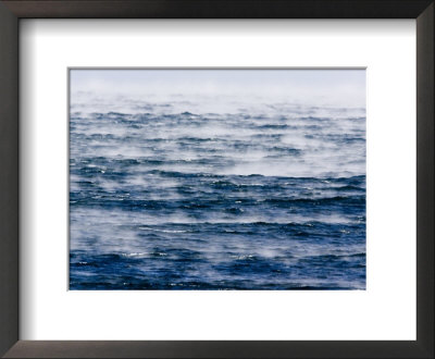 Scenic View Of Sea Smoke, Created By High, Cold Winds, Massachusetts by Tim Laman Pricing Limited Edition Print image