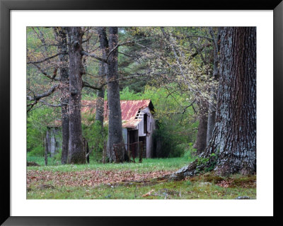 An Old Barn In The Tennessee Countryside, Tennessee, Usa by Richard Cummins Pricing Limited Edition Print image