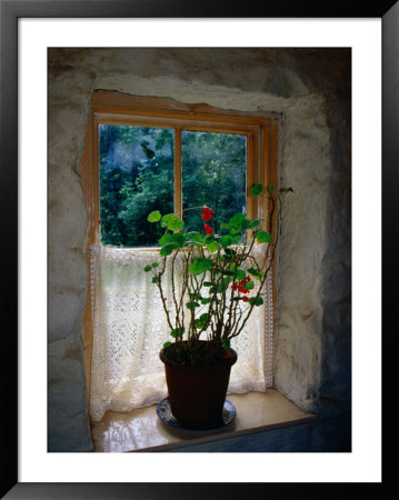 Cottage Window At Ulster Folk And Transport Museum, Down, Northern Ireland, United Kingdom by Richard Cummins Pricing Limited Edition Print image