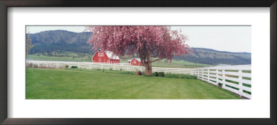 Farm In Spring, Wallowa Valley, Oregon, Usa by Terry Eggers Pricing Limited Edition Print image