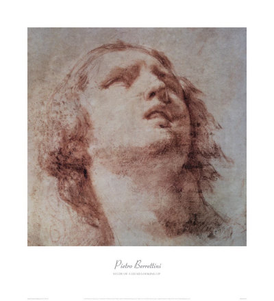 Study Of A Head Looking Up by Pietro Berrettini Pricing Limited Edition Print image