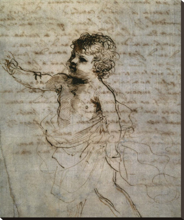 Sketch Of A Child by Guercino (Giovanni Francesco Barbieri) Pricing Limited Edition Print image