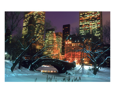 Nyc, Central Park Snow And Plaza Hotel by Rudi Von Briel Pricing Limited Edition Print image