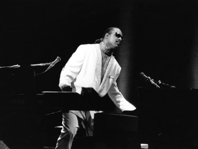 Stevie Wonder by Crowder Guy Pricing Limited Edition Print image