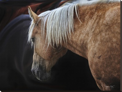 Caballo Amarillo by Barry Hart Pricing Limited Edition Print image