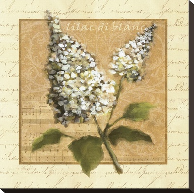 White Lilac Square by Julie Ueland Pricing Limited Edition Print image