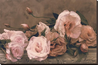 Palest Pink by Julie Greenwood Pricing Limited Edition Print image