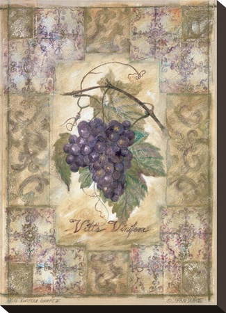 Vitis Vinifera Grape by Shari White Pricing Limited Edition Print image