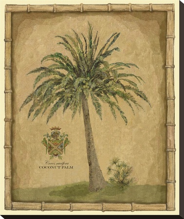 Caribbean Palm Iii With Bamboo Border by Betty Whiteaker Pricing Limited Edition Print image
