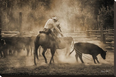 Branding At Lost Canyon by Barry Hart Pricing Limited Edition Print image