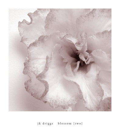 Blossom Ii by J.K. Driggs Pricing Limited Edition Print image