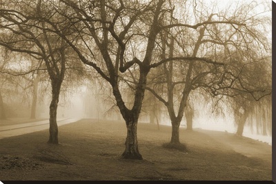 Misty Park by Heather Johnston Pricing Limited Edition Print image