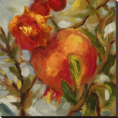 Seasonal Pomegranate Ii by Nicole Etienne Pricing Limited Edition Print image