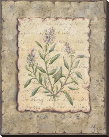 Vintage Herbs, Sage by Constance Lael Pricing Limited Edition Print image