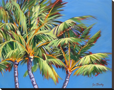 Three Crazy Palms by Jean Bradley Pricing Limited Edition Print image