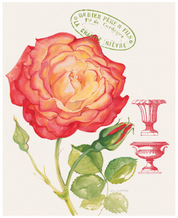Grandiflora Rose by Elissa Della-Piana Pricing Limited Edition Print image