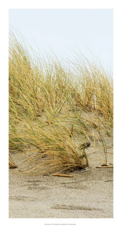 Dunes Iv by Rachel Perry Pricing Limited Edition Print image