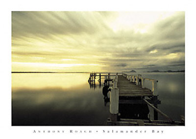 Salamander Bay by Anthony Roach Pricing Limited Edition Print image