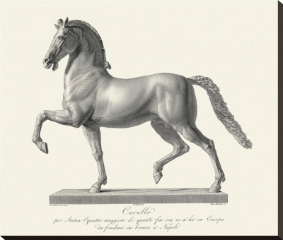 Etching Front View, Cavallo by Antonio Canova Pricing Limited Edition Print image