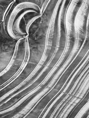 Ice Patterns In A Frozen New Forest Stream, Hampshire, England by Adam Burton Pricing Limited Edition Print image