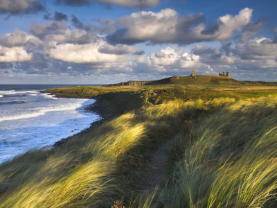 Blustery Afternoon Along Coast, Dunstanburgh, Northumberland, England by Adam Burton Pricing Limited Edition Print image