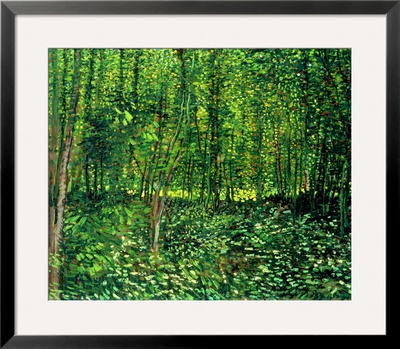 Woods And Undergrowth, C.1887 by Vincent Van Gogh Pricing Limited Edition Print image