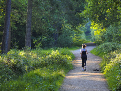 Woman Jogging Through The New Forest On A Summer Evening, Hampshire, England by Adam Burton Pricing Limited Edition Print image