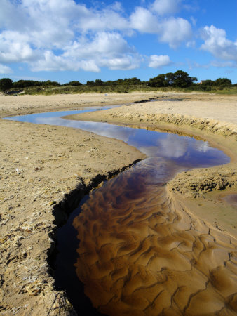 Small Stream Winding Through The Beach To The Sea, Studland Bay, Dorset, England by Adam Burton Pricing Limited Edition Print image