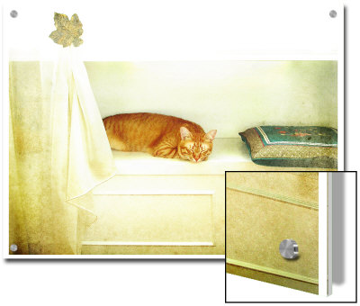 Catnap by Vanessa Ho Pricing Limited Edition Print image