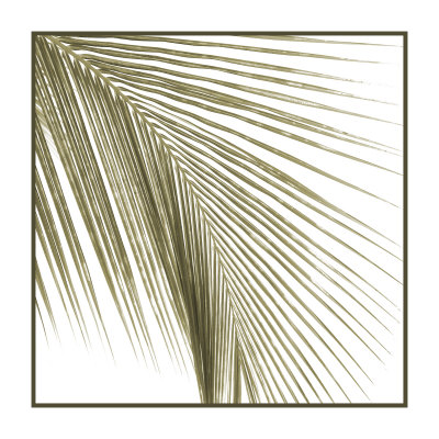 Palm Study Viii by Studio El Collection Pricing Limited Edition Print image