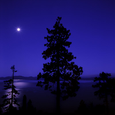 Full Moon In Night Sky Over Trees And Lake Tahoe, Nevada, Usa by Images Monsoon Pricing Limited Edition Print image