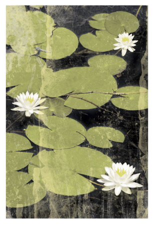 Pond Blossoms by Erin Clark Pricing Limited Edition Print image