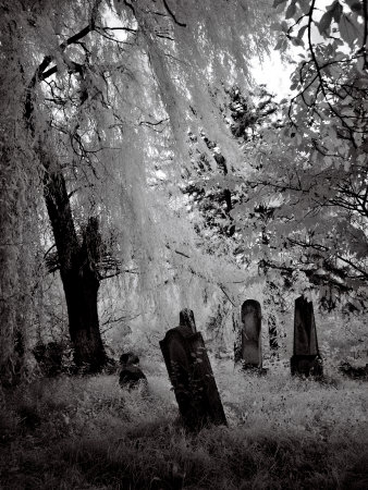 Eerie Cemetary, Romania by Ilona Wellmann Pricing Limited Edition Print image