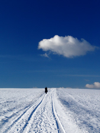 Man Walking In The Snow Under Blue Skies by Ilona Wellmann Pricing Limited Edition Print image