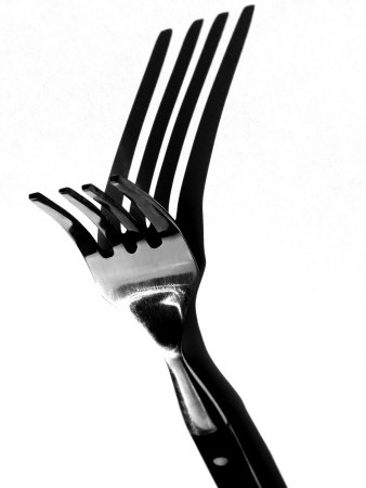 Fork With Reflection Of Fork by Ilona Wellmann Pricing Limited Edition Print image