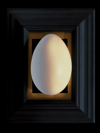 Large White Egg Centered On A Black Frame With Gold Leaf Mat by Images Monsoon Pricing Limited Edition Print image
