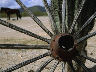 Old West View Of A Wagon Wheel Framing A Horse by Stephen St. John Pricing Limited Edition Print image