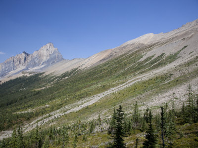 Unesco Burgess Shale Fields Spread Across Wapta And Field Mountain by Taylor S. Kennedy Pricing Limited Edition Print image