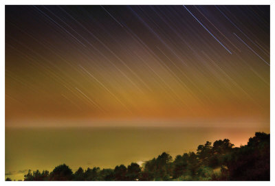 Star Trails by Harold Davis Pricing Limited Edition Print image
