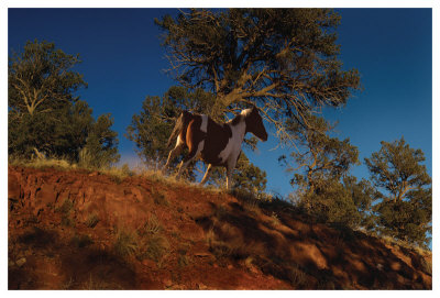 Ridge Runner by Steve Hunziker Pricing Limited Edition Print image