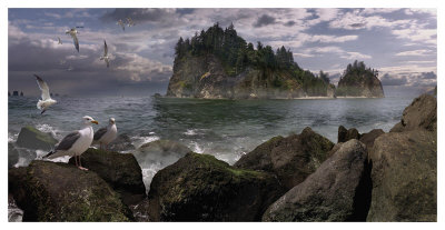 Seastack Gullage by Steve Hunziker Pricing Limited Edition Print image