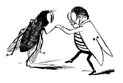 There Was An Old Person Of The Skye, Who Waltzed With A Bluebottle Fly by Edward Lear Pricing Limited Edition Print image