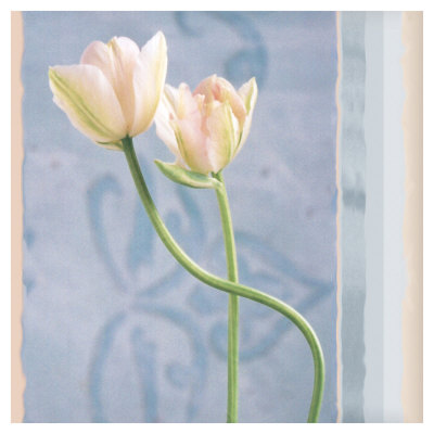 Tulip And Blue Tapestry I by Richard Sutton Pricing Limited Edition Print image