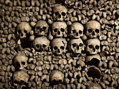 Human Skulls And Bones In The Underground Catacombs Below Paris by Scott Stulberg Pricing Limited Edition Print image