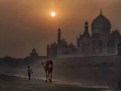 India Camel At The Taj Mahal by Scott Stulberg Pricing Limited Edition Print image