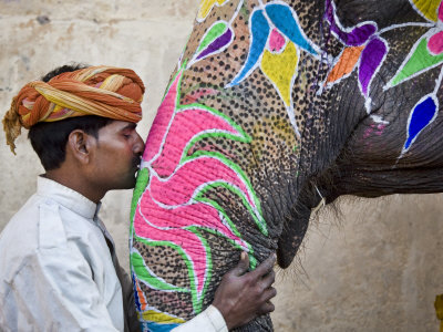 India Elephant by Scott Stulberg Pricing Limited Edition Print image