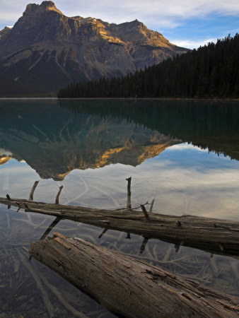 Perfect Morning At Emerald Lake, Yoho National Park, Rocky Mountains, Canada by Adam Burton Pricing Limited Edition Print image